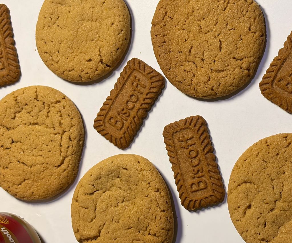 Biscoff Butter Cookies Recipe